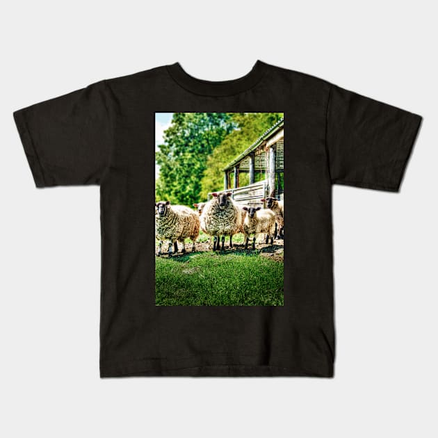 Sheep on the farm Kids T-Shirt by InspiraImage